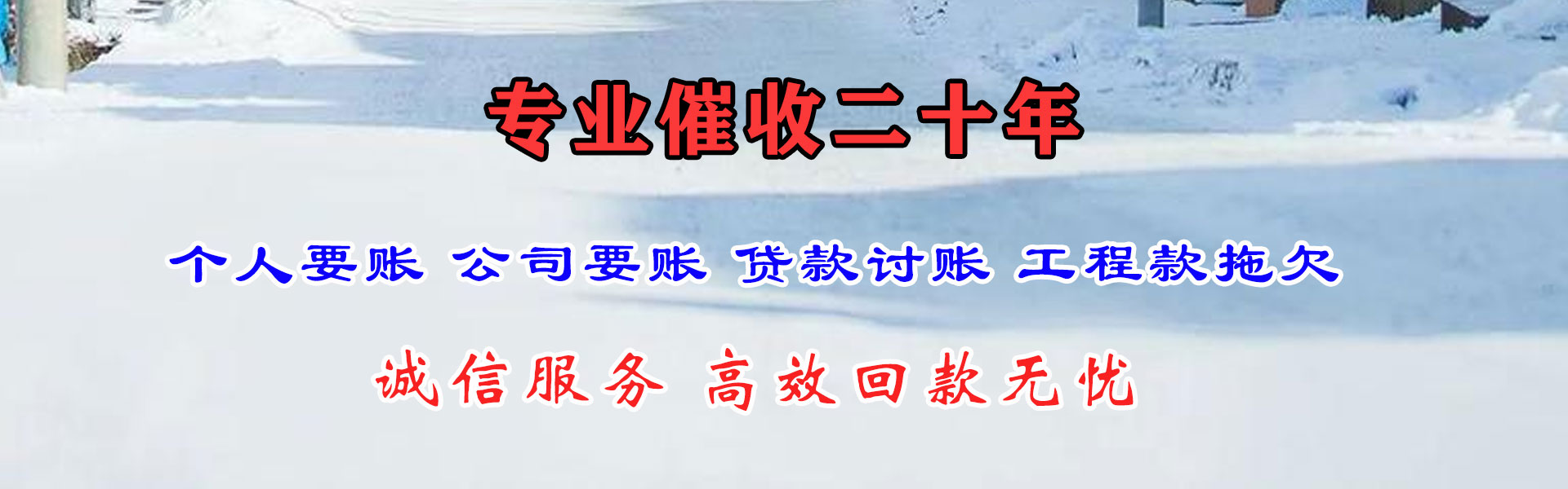 定陶清债公司